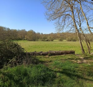 Forêt, traversée de rivière et GR au milieu des champs! - La Salvetat-Saint-Gilles - 4