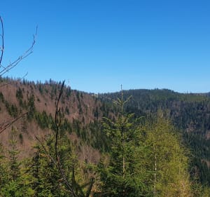 Na Prehybę - Szczawnica - 3