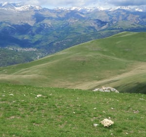 Les Cluots depuis le col de la Couilloles - Roubion - 3