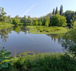 Jusqu'à Vichy sur la Via Allier - Billy - 5
