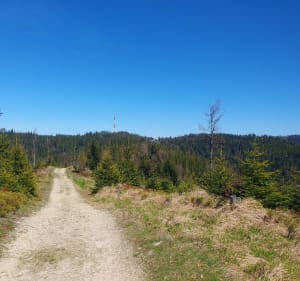 Na Prehybę - Szczawnica - 5