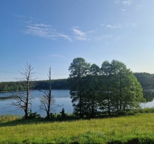 11 km szosą, lasem, szutrem - Węsiory - 3