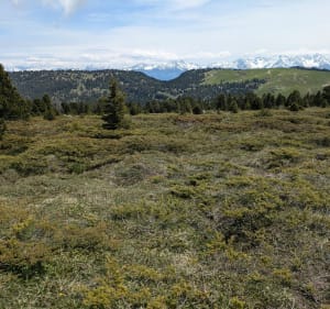 Randonnée au Mont Pinet dans la Chartreuse - Alain - 4