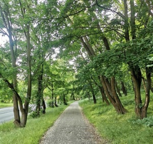 Pętla Winogrady-park Cytadela (ok. 5.6km) - Poznań - 3