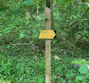 Entre Sacquenville et Brosville et Bois Huard - FABIENNE - 4