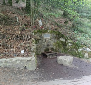Balade sur les monts du Beaujolais et le Mont Saint-Rigaud - Deux-Grosnes - 3