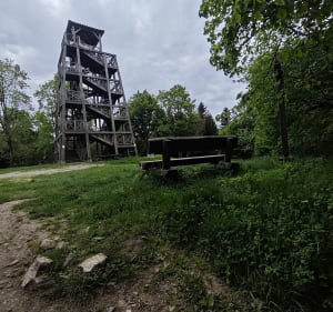 Balade sur les monts du Beaujolais et le Mont Saint-Rigaud - Deux-Grosnes - 4
