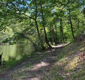 Magnifique parcours  Fond de Boirand - Razès - 3