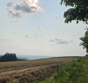 Boucle pédestre autour d'Yzeron - Yzeron - 3