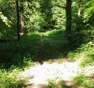 Boucle sur le plateau d'Arcey - Sainte-Marie - 3