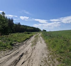 Fajna trasa rowerowa lub biegowa (spacer) 5,4 km - Nidzica - 3