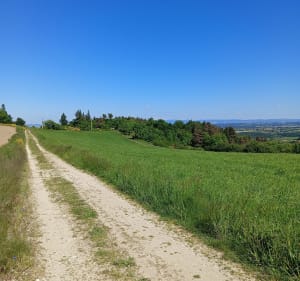 Balade sur le Haut Forez et col de Joanziecq - julien - 4