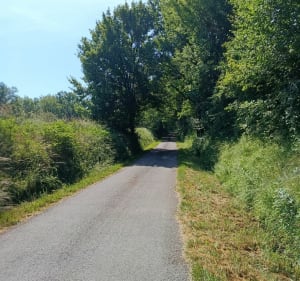 Rando autour de St Cirq 82 - Saint-Cirq - 3