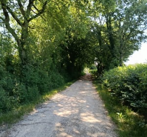 Rando autour de St Cirq 82 - Saint-Cirq - 4