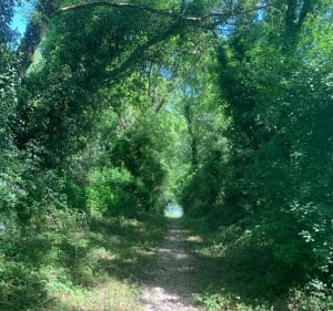 Saint Gelais mi chemin et route de campagne - Saint-Gelais - 3