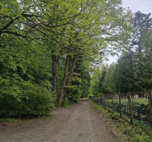 Spokojny spacer 3km - Olsztyn - 5