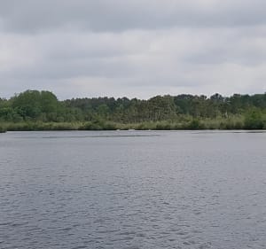 Entre lac et étangs à Saint-Paul-lès-Dax - Saint-Paul-lès-Dax - 3