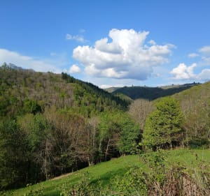Boucle de Vernet à Vernet - Castelnau-de-Mandailles - 4