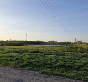 Spacer 6km w stronę lasu miejskiego - Nidzica - 3