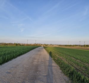 Spacer 6km w stronę lasu miejskiego - Nidzica - 4