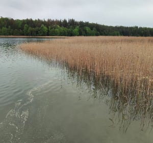 Od Jawora do Hotelu nad Wigrami i dalej... - Gawrych Ruda - 3