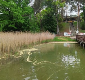 Od Jawora do Hotelu nad Wigrami i dalej... - Gawrych Ruda - 4