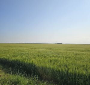 Balade entre Authon La Plaine et Saint Escobille - Authon-la-Plaine - 3