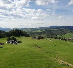 Do rezerwatu Zaskalskie-Bodnarówka - Jaworki - 4