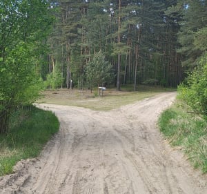 Spacer w Puszczy Noteckiej - Wronki - 3