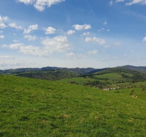 Do rezerwatu Zaskalskie-Bodnarówka - Jaworki - 5