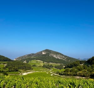 Boucle prés des  dentelles de Montmirail - Beaumes-de-Venise - 3