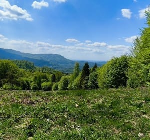 Wędrówka Ustroń-Równica-Ustroń - Ustroń - 3