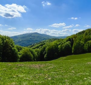 Wędrówka Ustroń-Równica-Ustroń - Ustroń - 5