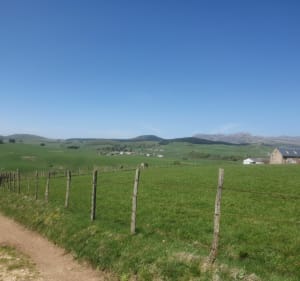 Boucle au lac de Bourdouze - Besse-et-Saint-Anastaise - 4