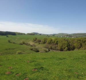 Boucle au lac de Bourdouze - Besse-et-Saint-Anastaise - 5