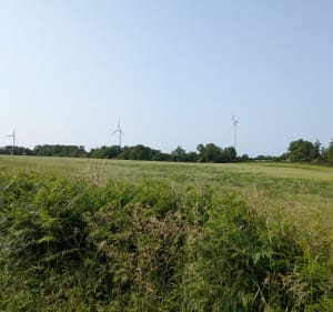 30km autour de Neuvy - Neuvy-Bouin - 4