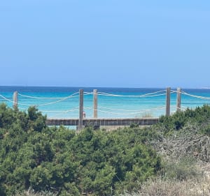 Balade de Son Bou  à San Thomas - San Jaime Mediterráneo - 4