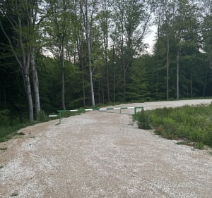 Lasek Brzeźnicki - Bochnia - 3