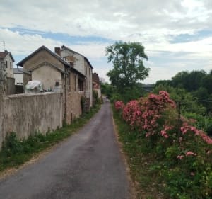 De Landouge au bord de Vienne - Limoges - 3