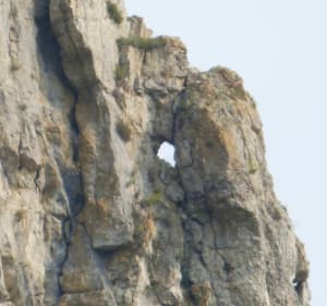 Le Mont Bouquet depuis Seynes - Seynes - 5