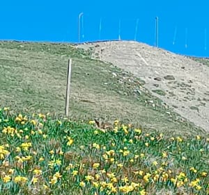 Les Bergeries depuis La Morte - La Morte - 4