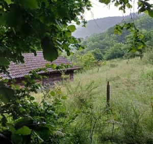 Randonnée en passant par le col de la Croix de Marchampt - Marchampt - 4