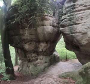 Jamna - Ciężkowice - Jamna - 5