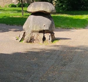 Parcs et jardins de Cesson-Sévigné - Cesson-Sévigné - 4