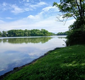 Entre Moulins et Châteaux Nord Loir et Cher - Couëtron-au-Perche - 4