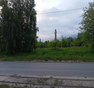 Bieg na 10km - Łódź - 4