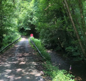 Sentier botanique Lizio - Lizio - 5