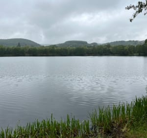 Balade autour du lac de Saint-Éloy-les-Mines - Saint-Éloy-les-Mines - 5