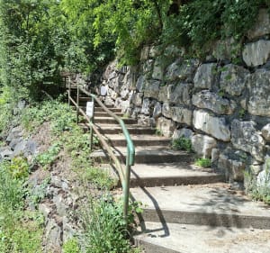 La Madone et le Carillon de Miribel - Saint-Maurice-de-Beynost - 5