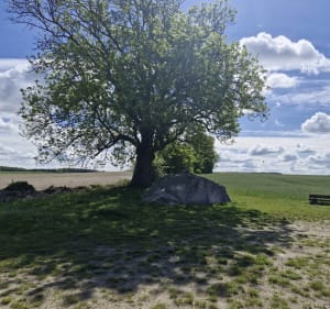 Kamień Tatarski - Nidzica - 4